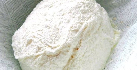 Закваска для творога домашнего