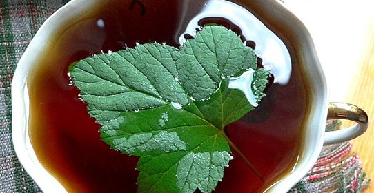 Чай с листьями смородины