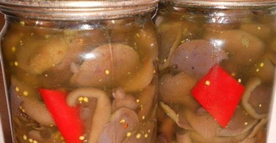 Маринованные моховики