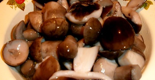 Маринованные подберезовики на зиму