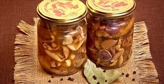 Маринованные маслята
