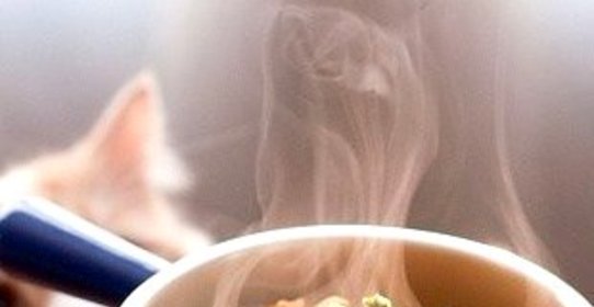 Рагу из чечевицы и белых грибов