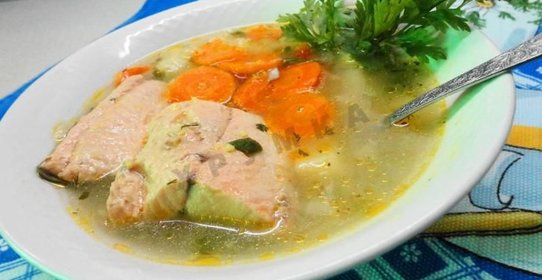 Рыбный суп уха из кеты