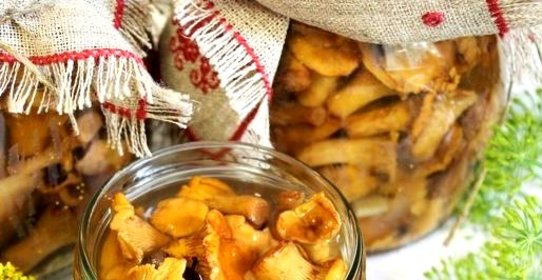 Лисички маринованные соленые