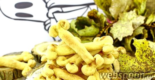 Творожные пряники «кости»