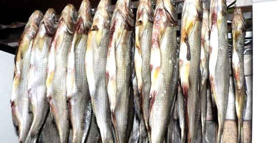 Рыба просольная провесная