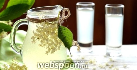 Квас из цветов бузины