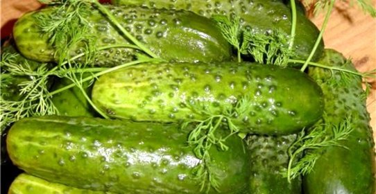 Маринованные огурцы с кориандром