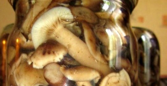 Маринованные опята с уксусом