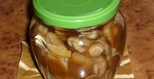 Грузди, маринованные в банке