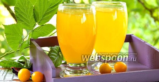 Кисель из алычи