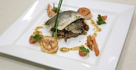 Морская каталония