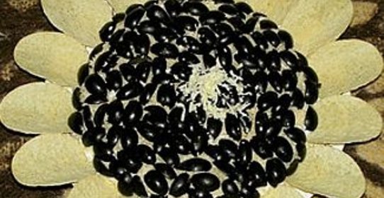 Салат Подсолнух