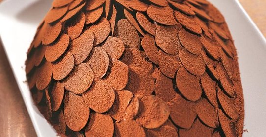 Торт Cосновая шишка