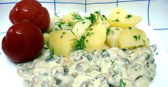 Маслята в сметане