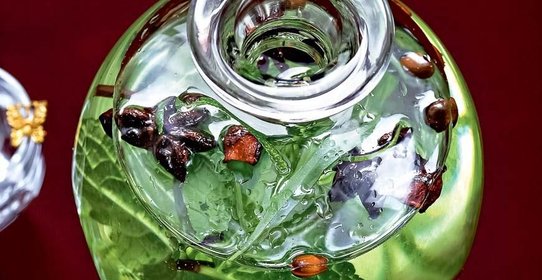 Настойка на травах и цитрусовых