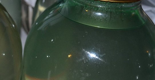 Березовый сок на зиму