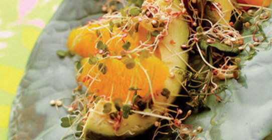 Салат из авокадо с проростками