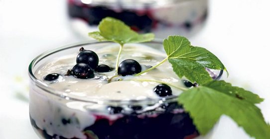 Рябиновый коктейль