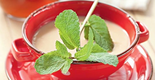 Овсяный кисель на отваре из шиповника