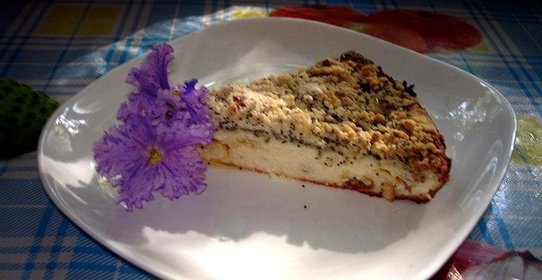 Запеканка творожная с изюмом шоколадом и маковым штрейзелем