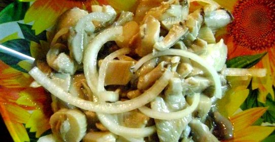 Вешенки соленые маринованные