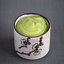 Матча Курд (Matcha Curd)