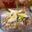 Салат с ветчиной,яйцами и маринованными грибами