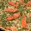 Французский киш с рисом и лососем