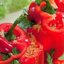 Фаршированный перец овощами