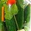 Маринованные огурцы