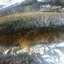 Запечёная скумбрия