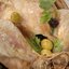 Фаршированная курица