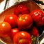 Бочковые помидоры