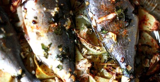 Дорада по‑испански