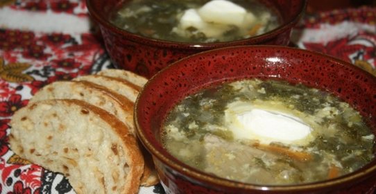 Зеленый борщ со щавелем и виноградными листьями