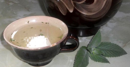 Освежающий напиток из эстрагона и лимона