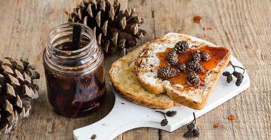 Варенье из сосновых шишек с мёдом