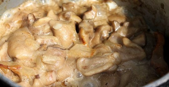 Маслята на костре