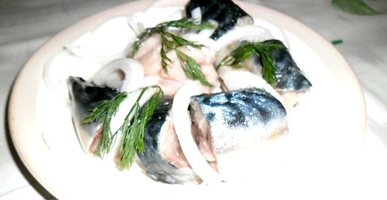 Слабосоленая скумбрия