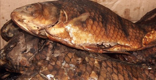 Копченый карась