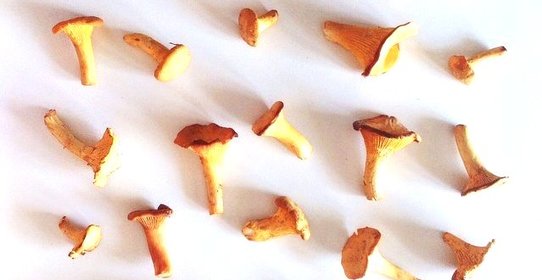 Рагу из лисичек и баклажанов