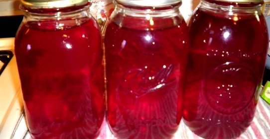 Компот из клюквы