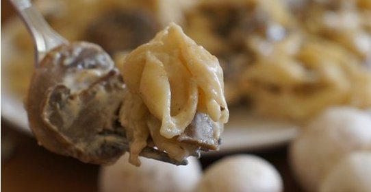 Паста с белыми грибами в сливочном соусе