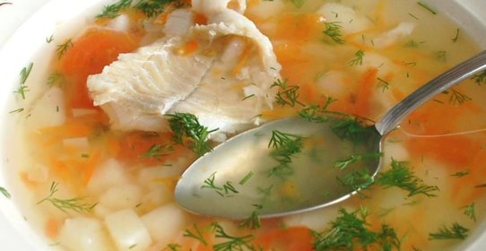 Уха «Ростовская» от Елены Бон