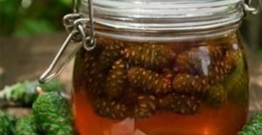 Сироп из сосновых шишек от кашля