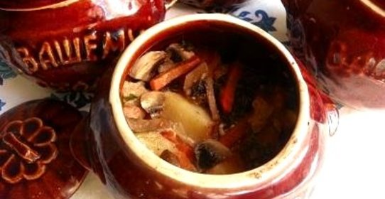Картофель с грибами мясом и черносливом в горшочках