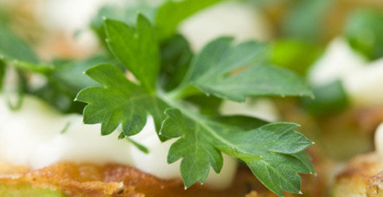 Оладьи из кабачков