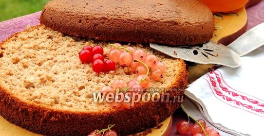 Медовый бисквит