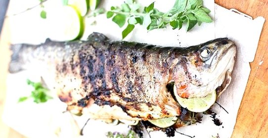 Форель на мангале